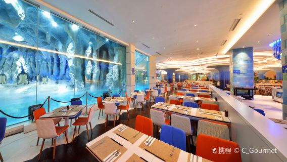 Buono buffet per colazione o cena per due/tre persone al ristorante buffet degli pinguini imperatori presso l'Hotel Chimelong Penguin di Zhuhai