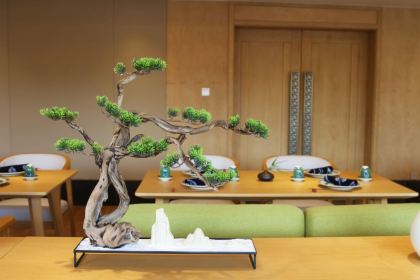 Qing'anliaoliyishuguan