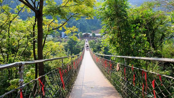Dila Bridge