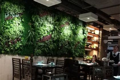 星洲蕉葉（五四北泰禾廣場店）