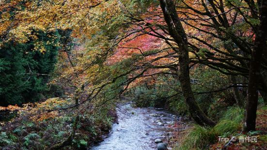 左源太必吃推薦 京都府京都左源太 Trip Com