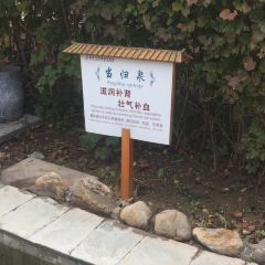 霸州茗汤日月潭温泉会馆·中餐厅 여행 사진