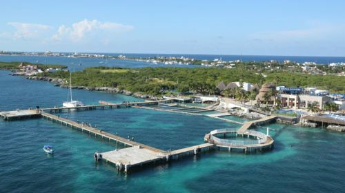 Dolphin Discovery Isla Mujeres