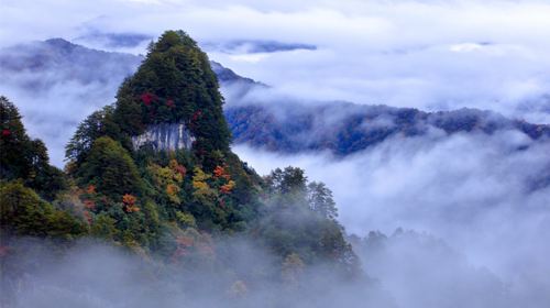 Fenglingu Forest Park