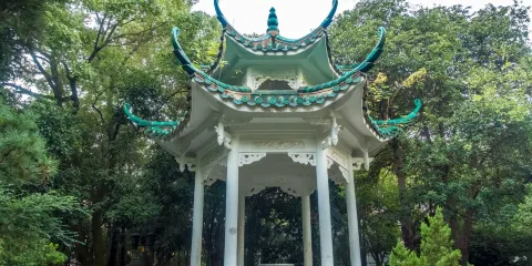 菊花塘公園