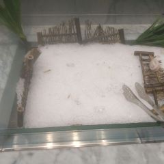 锅秀自助火锅(恒丰大厦总店) 여행 사진