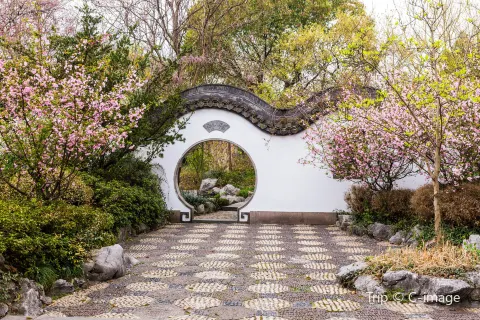 西溪國家濕地公園