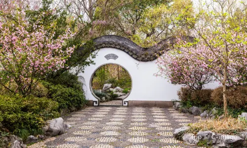 อุทยานพื้นที่ชุ่มน้ำแห่งชาติซีซี