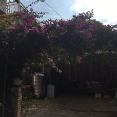 北海謎途尋幽·遇見海民宿·潿洲島花兒開了餐廳張用戶圖片