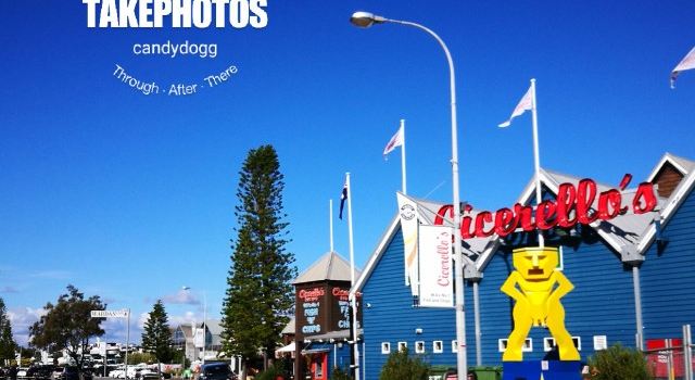 Cicerello's Fremantle