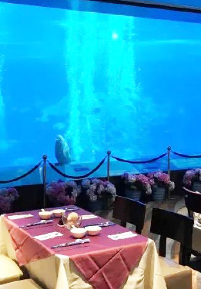 長隆海底餐廳（長隆海洋王國店）