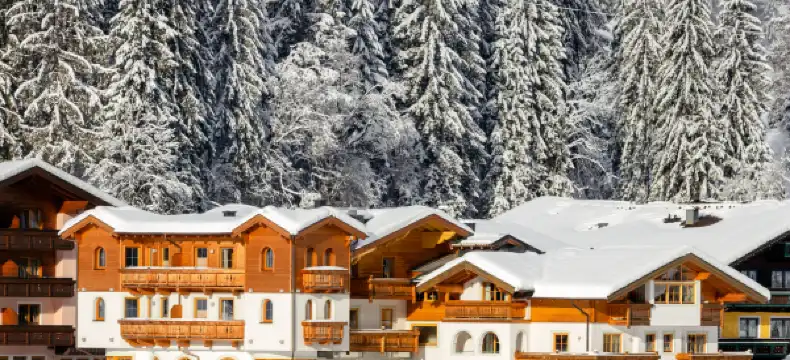 Hotels in Flachau