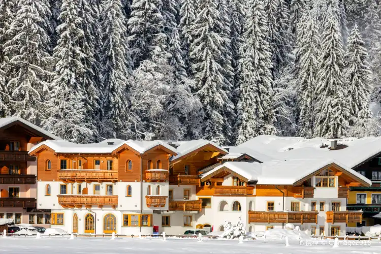 Hotels in Flachau