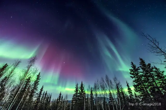 Northern Lights in Tromso