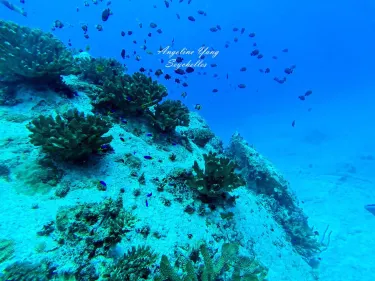 Anse Volbert Village