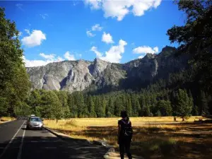Mariposa Grove of Giant Sequoias