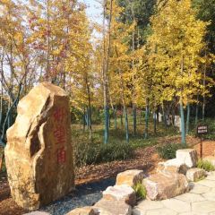 華東療養院餐廳張用戶圖片