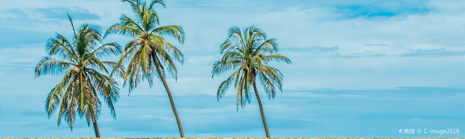 CartagenaExperiences