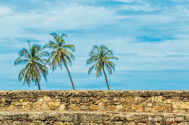 Cartagena