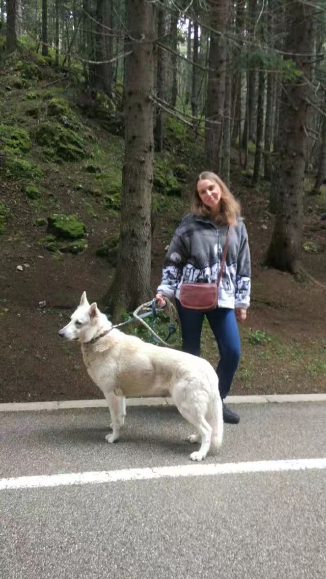 杜米托爾國家公園