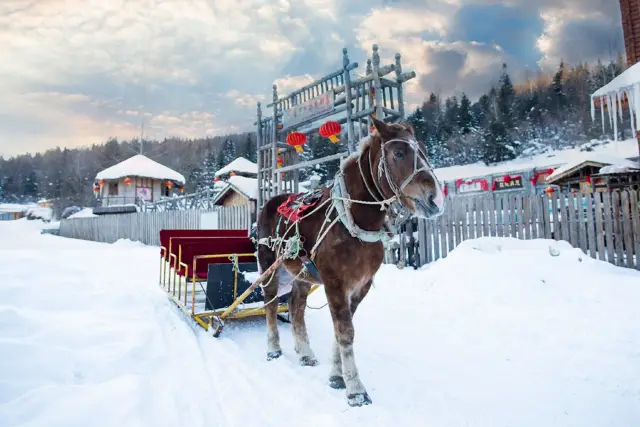 Snow Sledding in Mudanjiang