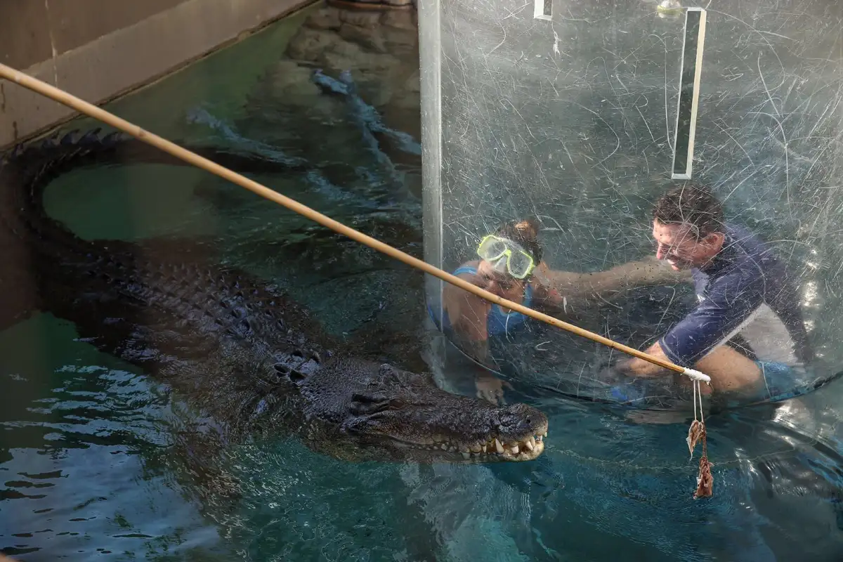 Crocosaurus Cove