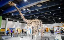 Hong Kong Science Museum