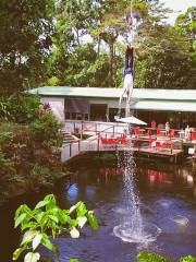 Skypark Cairns by AJ Hackett