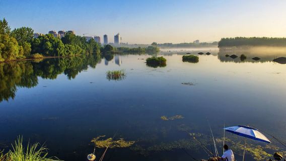 WuhanExperiences