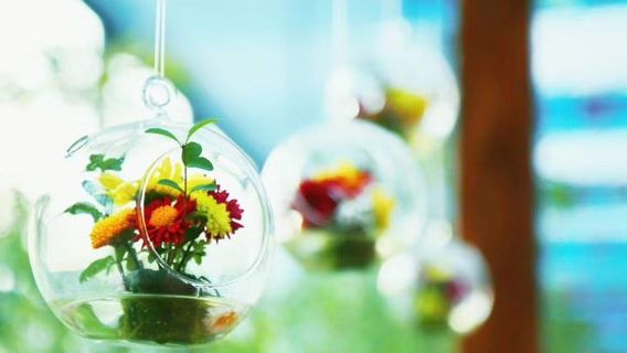 Chrysanthemum Fragrance Inn