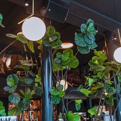 Zen Cafe Bar User Photo