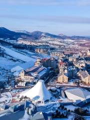 韓國阿爾卑斯滑雪場