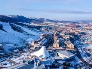 韓國阿爾卑斯滑雪場