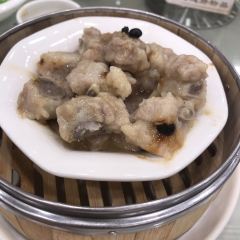 Phoenix House User Photo