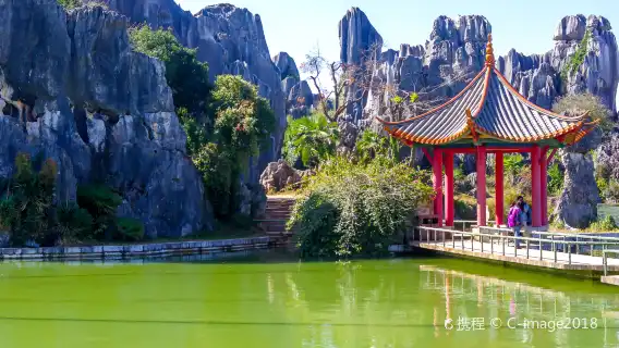 Kunming Stone Forest Scenic Area 1-day tour [Private group + English guide + Pure play + Includes round-trip transportation]
