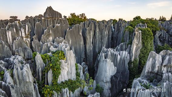 Kunming Stone Forest and Jiuxiang Cave Day Tour