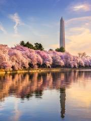 Monumento Washington