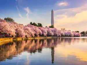 Washington Monument