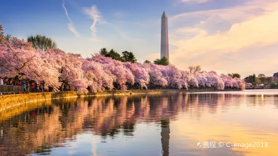 Monumento Washington