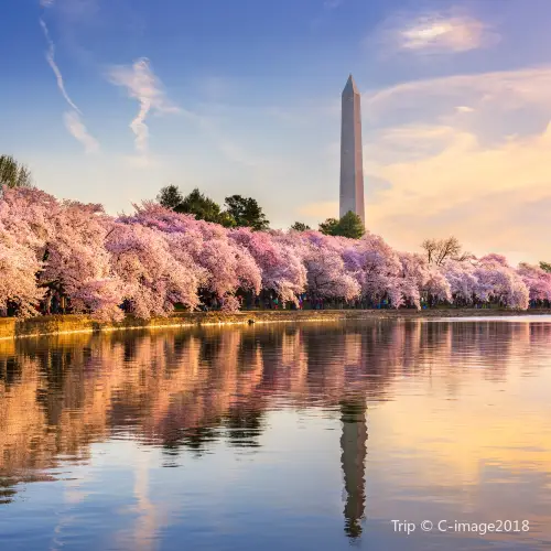 Washington Monument
