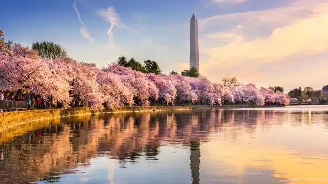 Hotels near Washington Monument