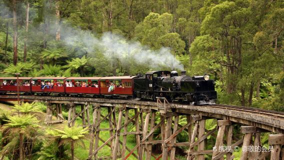Excursion d'une journée en petit groupe privilégié : Train à vapeur Puffing Billy de Melbourne + Phillip Island