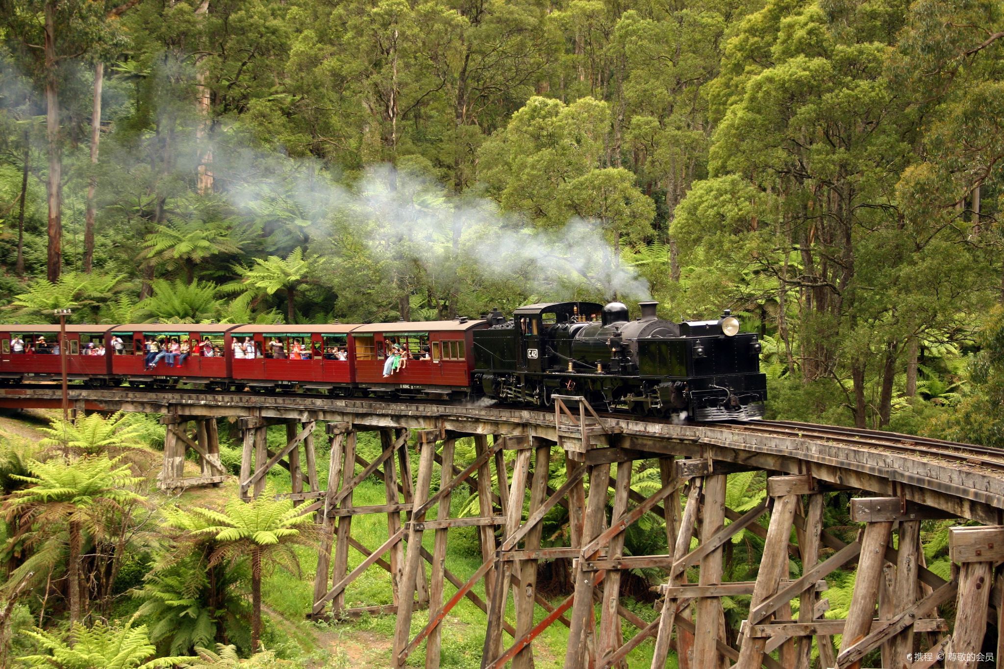 Melbourne Puffing Billy Dampfzug + Phillip Island Tagesausflug [Exklusive Kleingruppen]