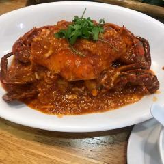 쩨파이 여행 사진