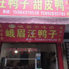 峨眉汪鸭子·甜皮鸭烟熏鸭(白龙北路店) User Photo