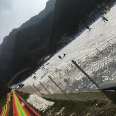 TAO HUA CHONG SEN LIN GONG YUAN HUA CHENG NONG GU User Photo