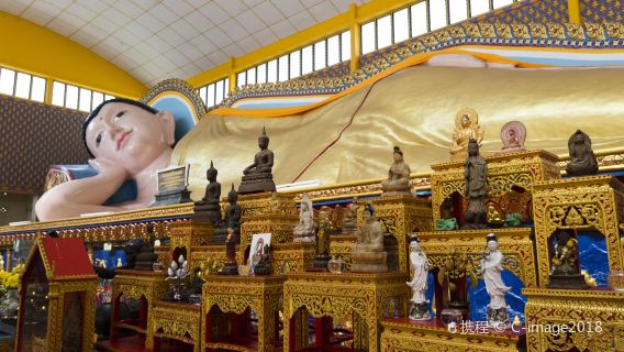Overseas Chinese Museum + Sun Yat-sen Base Memorial Hall + Thai Reclining Buddha Temple + Burmese Temple Half Day Tour