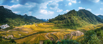 Baze Terraced Fields