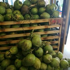 金岷坊椰子鸡餐厅(河西路店) User Photo