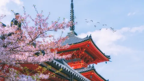 Kioto travel destination